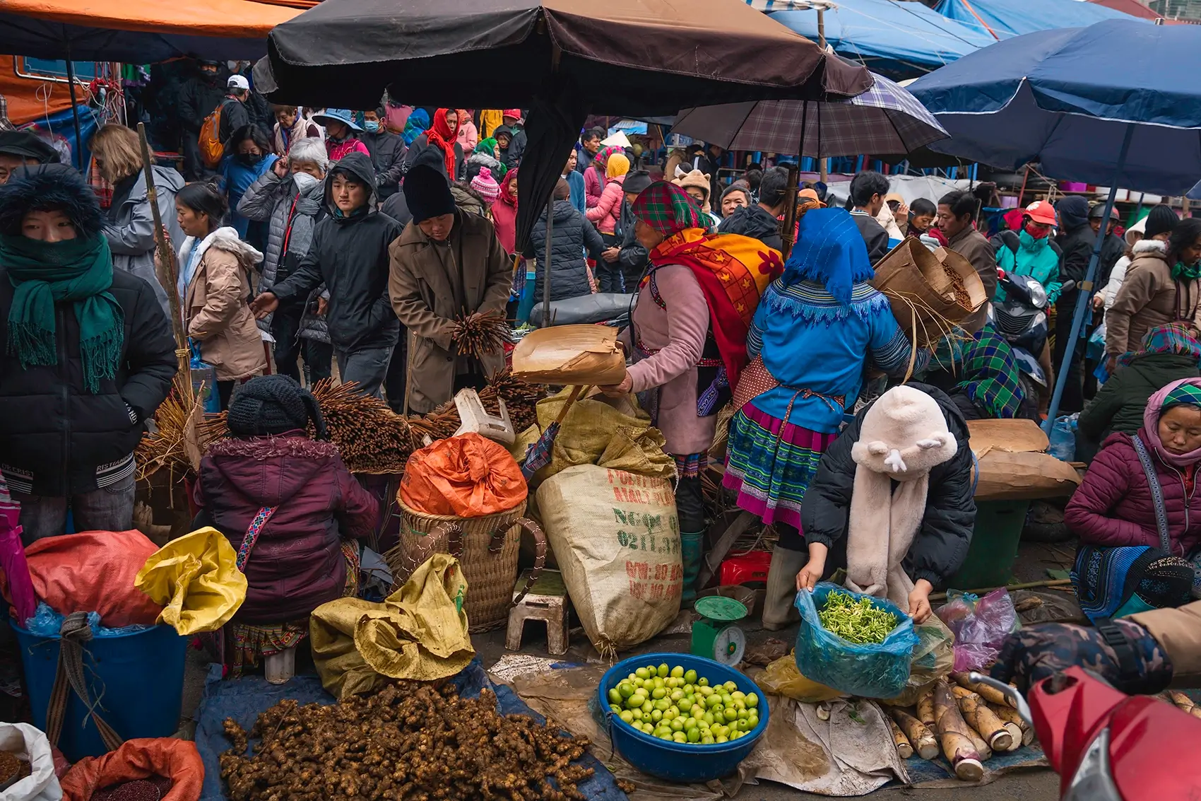Bac Ha Market Tour 1 Day
